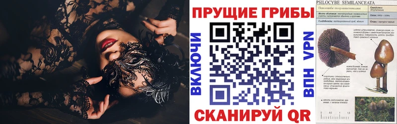 Псилоцибиновые грибы мицелий  Балтийск 